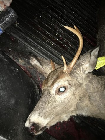 Luke Guenot harvested this one-horned buck.