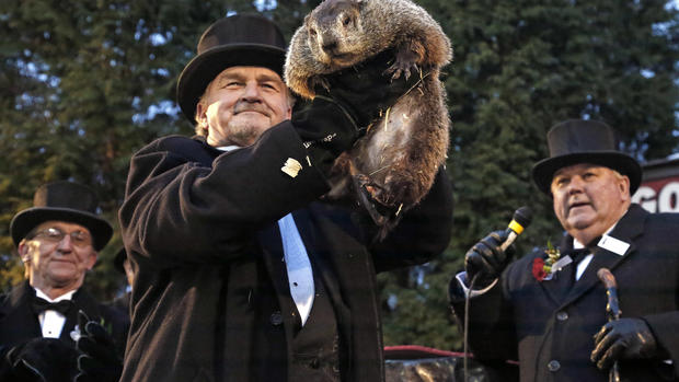 Punxsutawney Phil