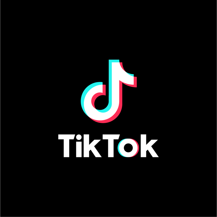 TikTok: A World Wide Addiction – Warrior Watch