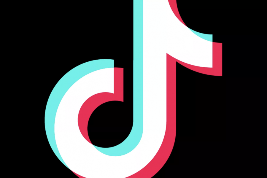 TikTok Logo