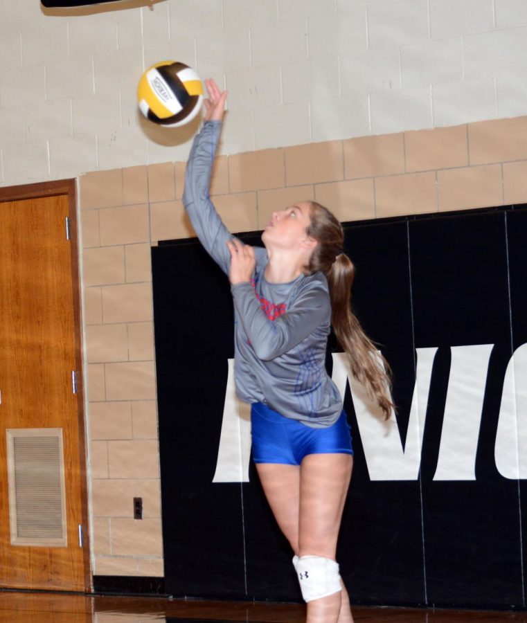 Junior Meghan Cantolina serves the ball on Tuesday night.