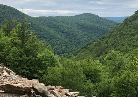 If you are looking for a place to hike, one of these trails could be for you.