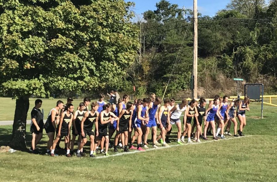 The three competing cross country teams get ready at the starting line.