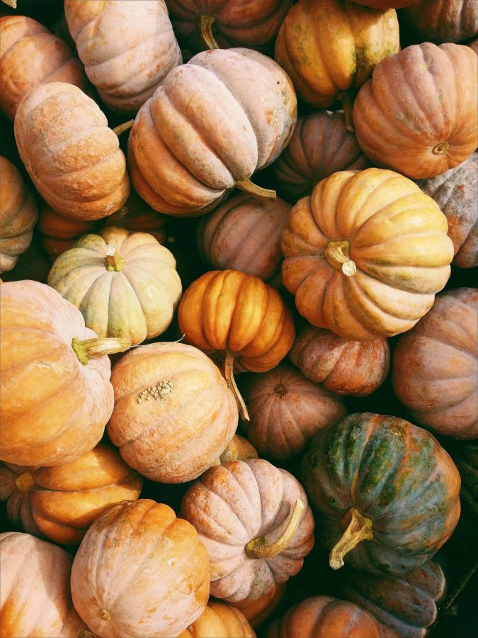A photo of various pumpkins as a representation of autumn.