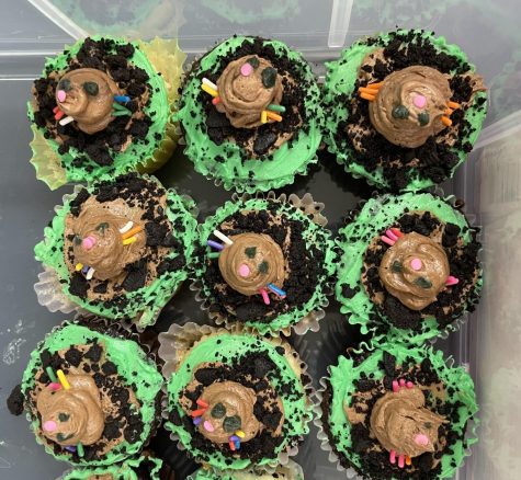 "Mole in a hole" themed cupcakes made by a Chemistry I student.