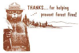 A photo of Smokey Bear thanking the community for helping prevent forest fires.