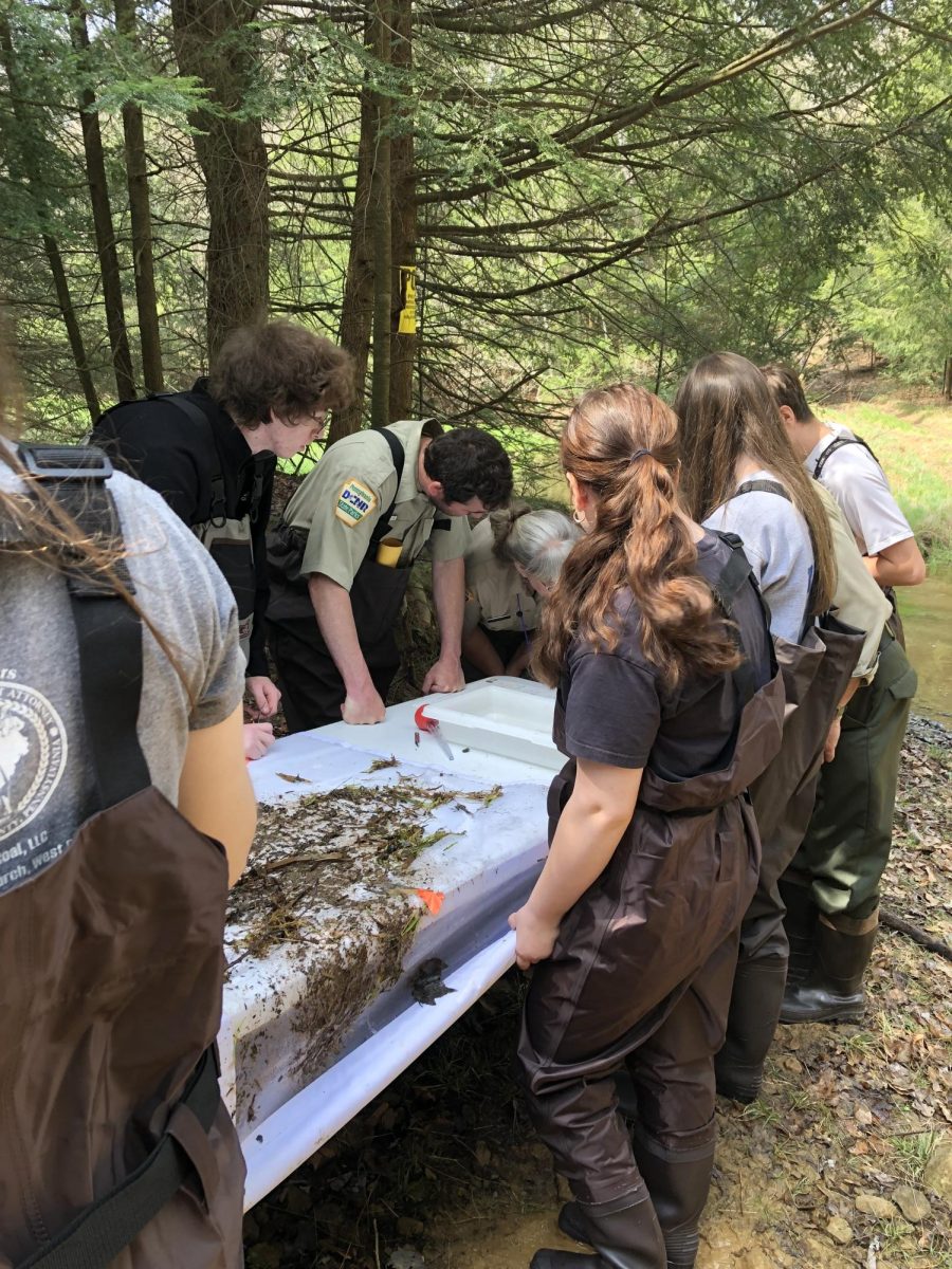 The students and state park educators take a deep look at the macroinvertebrates. 

